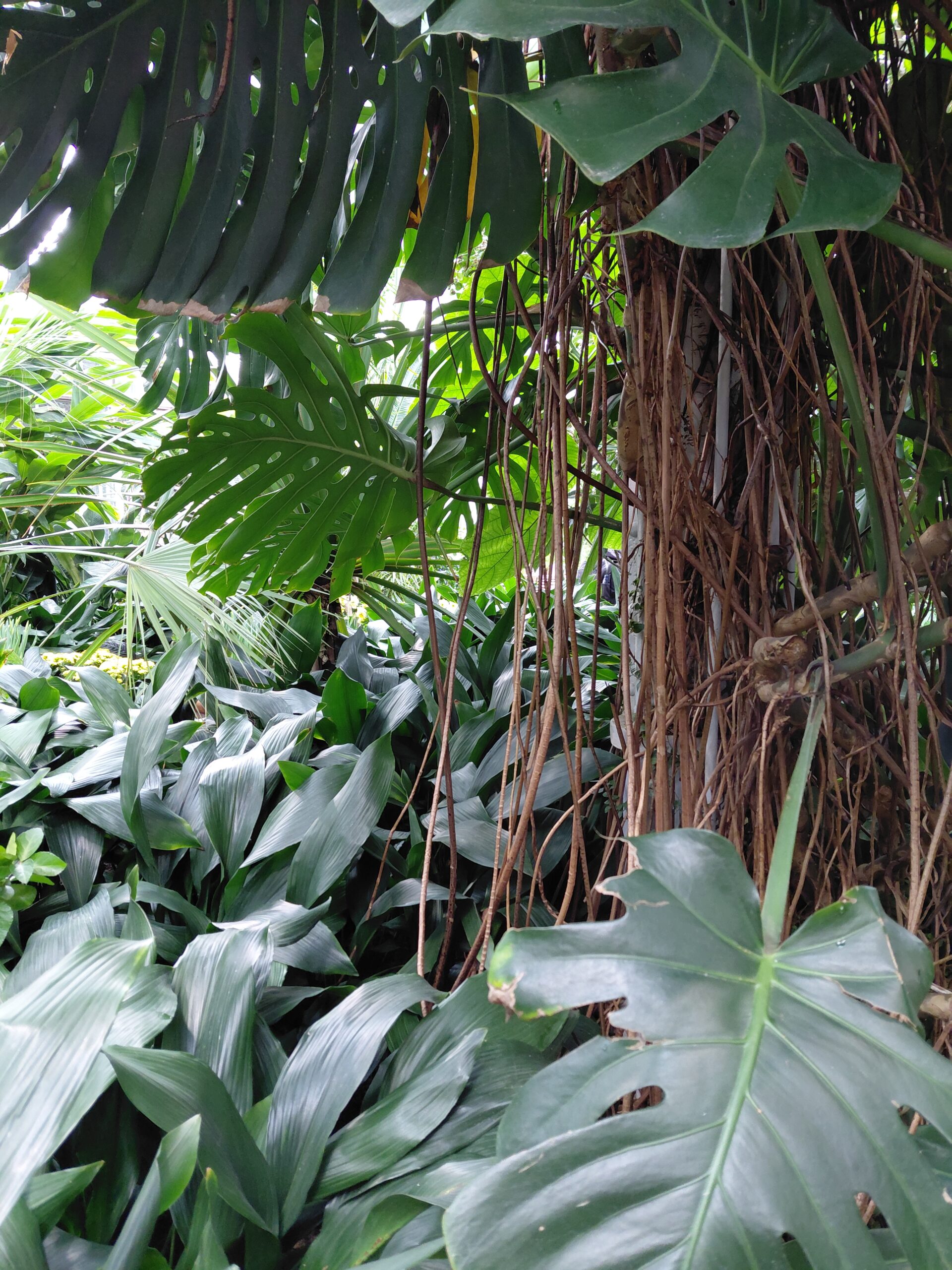 Ympäristötiedon foorumin uutiskirjeessä esitettyä