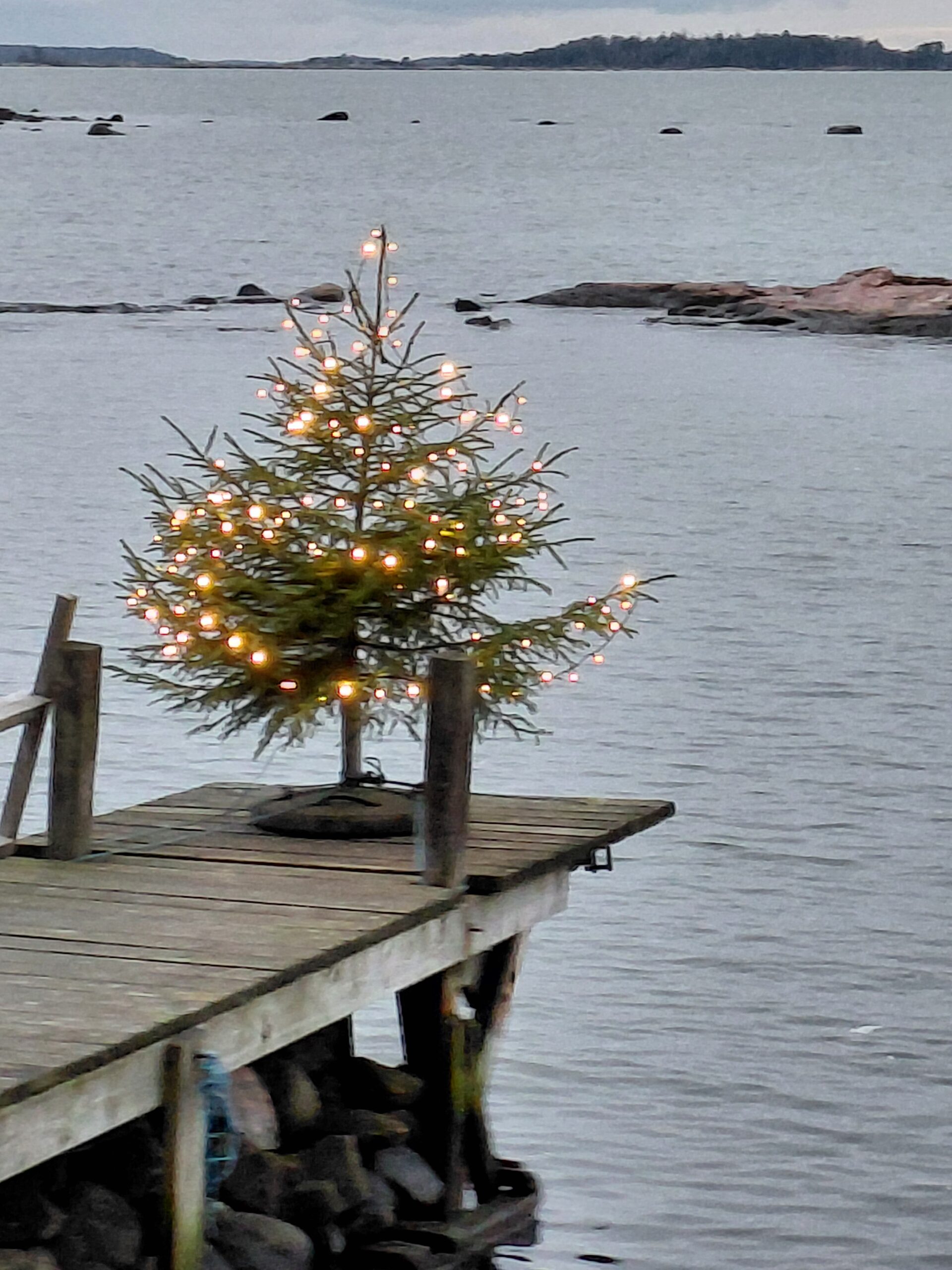 Kiitos kuluneesta vuodesta sinä, Ikivin jäsen !