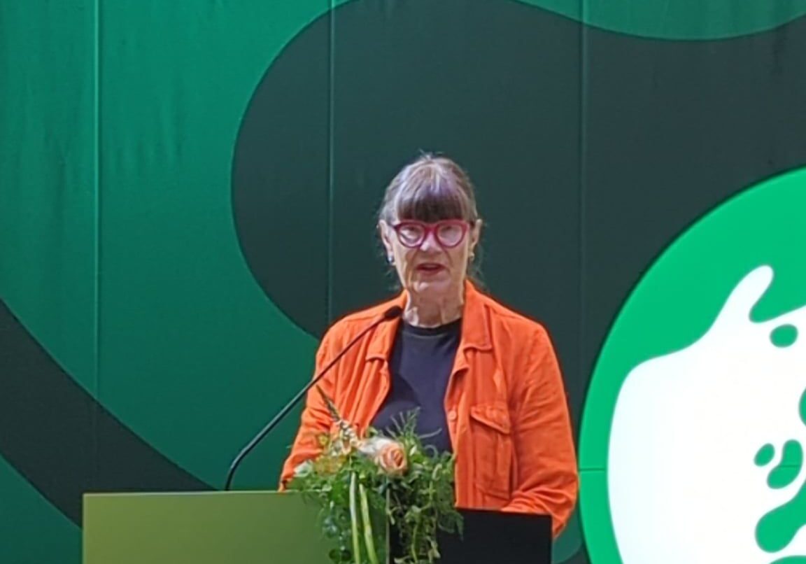 Marjaliisa Havion puhe Turun puoluekokouksessa