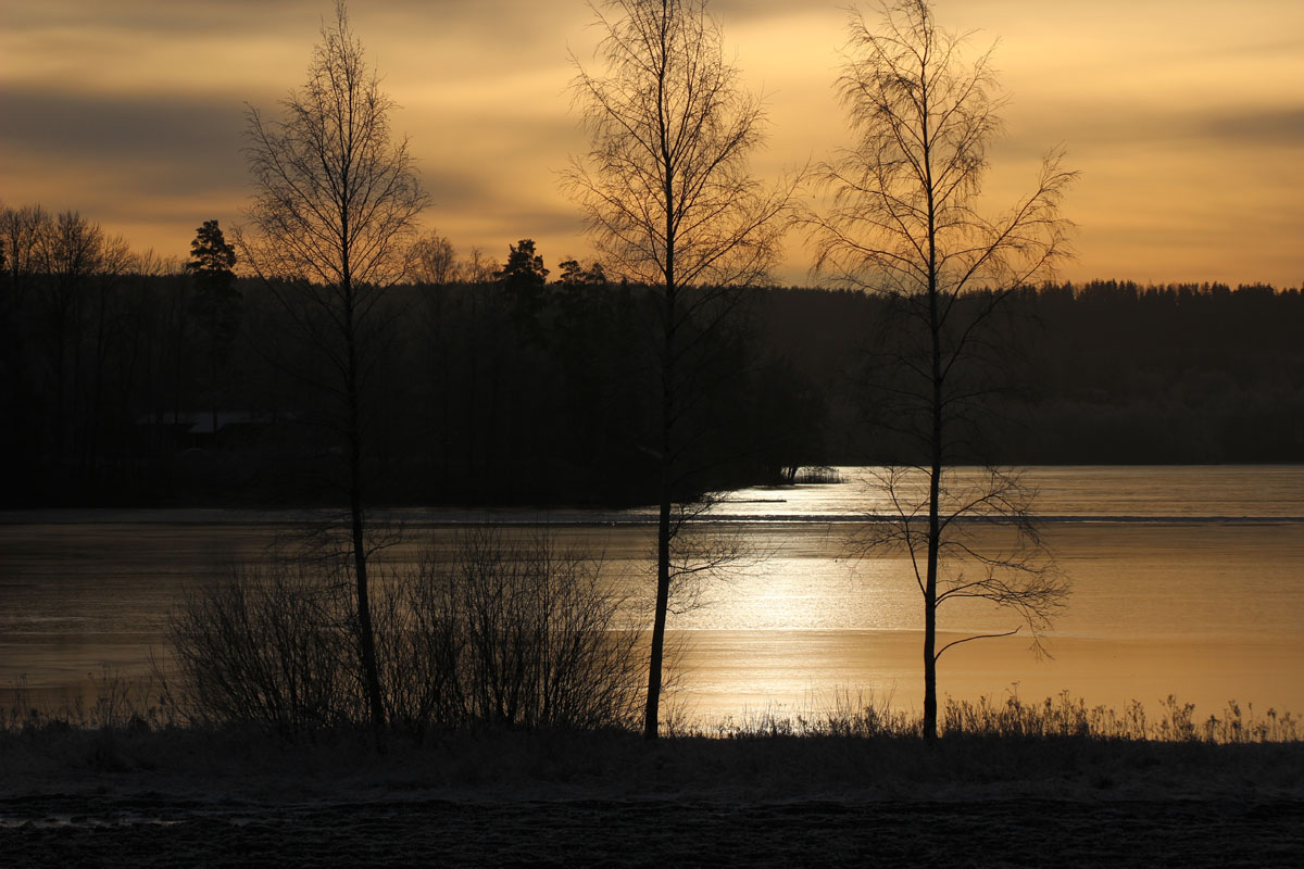 Vihdin Vihreät luottamushenkilöt